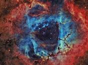 nebulosa Rosetta DownUnder Observatory
