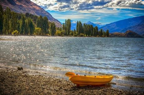 El árbol solitario del lago Wanaka