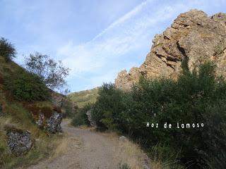 Rodiezmo-Folledo-Buiza-Alto de Quilambre-Techo