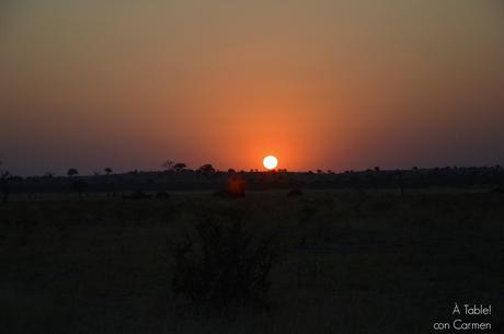 Safari en Botswana, la Autenticidad de Savute