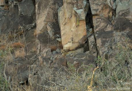 Safari en Botswana, la Autenticidad de Savute