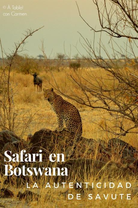 Safari en Botswana, la Autenticidad de Savute