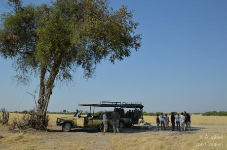 Safari en Botswana, la Autenticidad de Savute