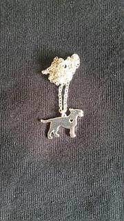 Crónica del primer circuito andaluz benéfico de padel para mascotas