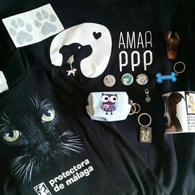 Crónica del primer circuito andaluz benéfico de padel para mascotas