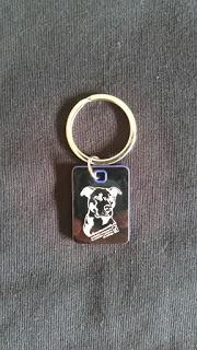 Crónica del primer circuito andaluz benéfico de padel para mascotas