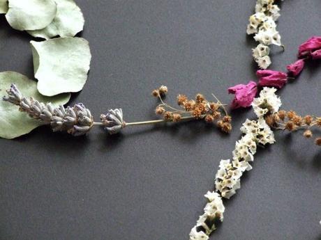 De vuelta, de flores secas y otoño De vuelta, de flores secas y otoño