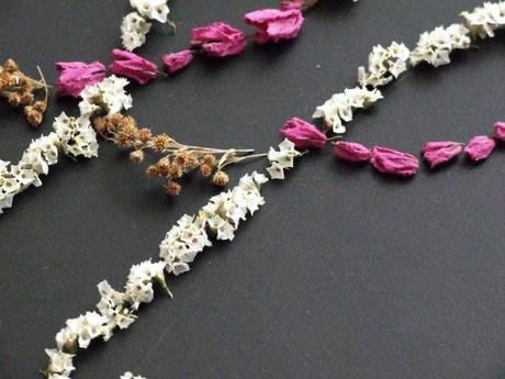 De vuelta, de flores secas y otoño De vuelta, de flores secas y otoño