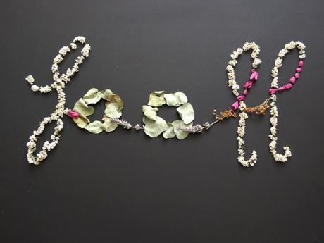 De vuelta, de flores secas y otoño De vuelta, de flores secas y otoño