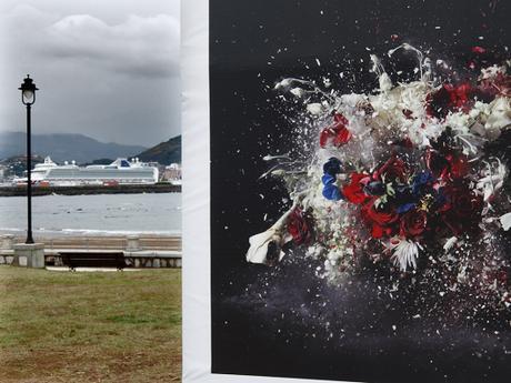 fiori-esplosione-crociera