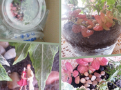 Terrario bosque" sorteo ganado