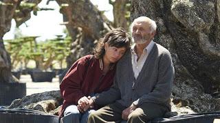 OLIVO, EL (España, 2016) Drama, Vida normal