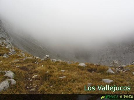 Los Vallejucos