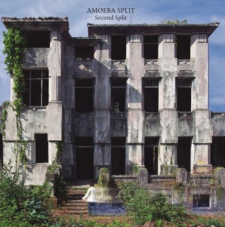 CHRONICLES FROM THE DUSK: AMOEBA SPLIT: SECOND SPLIT