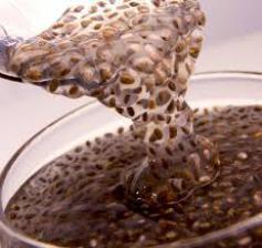 10 fundamentales propiedades de la semilla de chía gel-de-la-chia