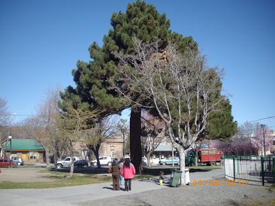 Una plaza tranquila