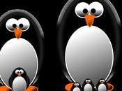último cambio Google: ¡Penguin tiempo real!