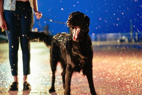 Sony llena un casino abandonado con 4.000 globos y 1.500kg de purpurina en este bonito anuncio