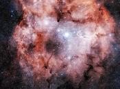 1396 gran nebulosa Cefeo