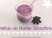 Batido Moras Silvestres.