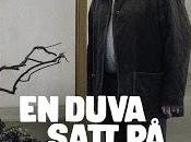 paloma posó rama reflexionar sobre existencia: absurdo vida