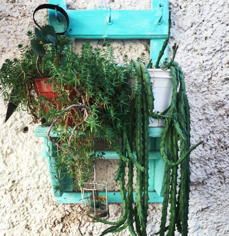 SEGUIMOS CON CLEMENTINA