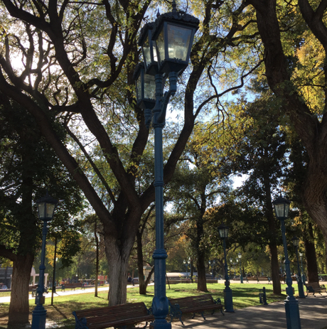 SEGUIMOS CON CLEMENTINA