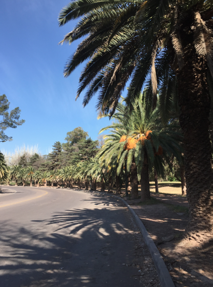 SEGUIMOS CON CLEMENTINA