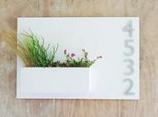 Butaca: Vecinos ruidosos