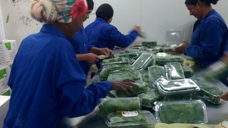 Aleinu facilita las condiciones de trabajo para mujeres y minorías que carecen de formación. Foto de Abigail Klein Leichman.