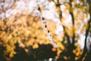 Guirnalda de luces para la boda