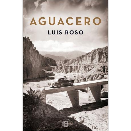 Aguacero, de Luis Roso