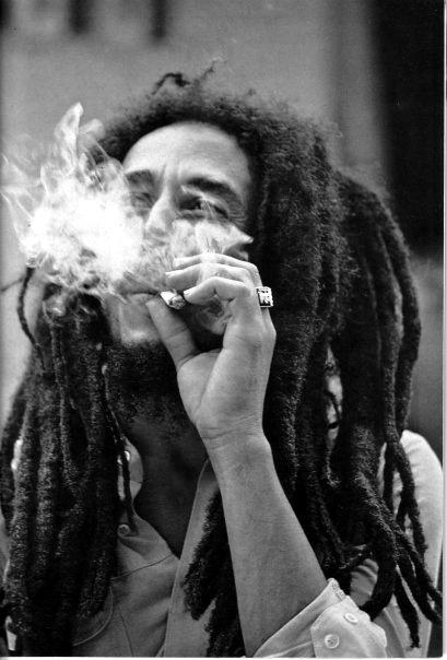 Crónicas desde Nueva España (10)