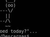 comandos básicos para usar terminal