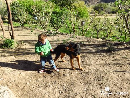 Mis anécdotas en el viaje a Salta y Jujuy img_0124