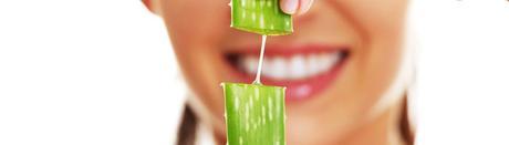 usos del aloe vera