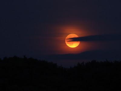 La Luna y sus colores