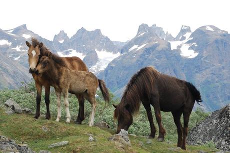 TASIUSAQ INLANDIS DE TASERMIUT