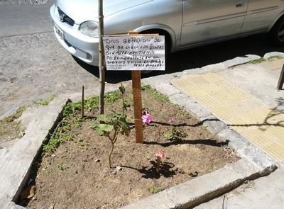  photo cantero92_zpscpy0bvd8.jpg