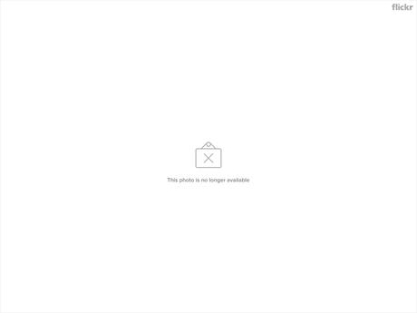 Suirirí silbón (Sirystes) Sirystes sibilator