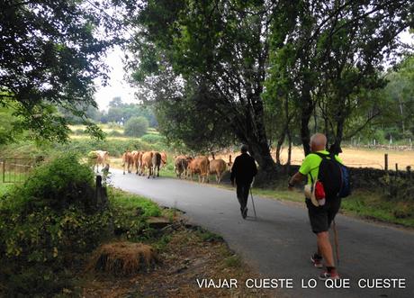 DE SARRIA A PORTOMARÍN EL CAMINO A SANTIAGO (DÍA DOS)