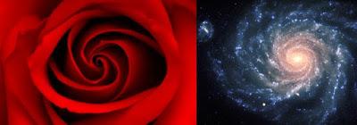 Perentorio intento de poner orden en el universo