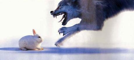 La Fabula del cuervo y el conejo La Fabula del cuervo y el conejo