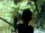 Educando valores nuestros hijos…¿o