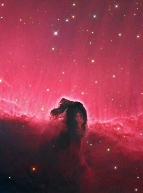 ✨Campo amplio y detalle de la nebulosa Cabeza de Caballo