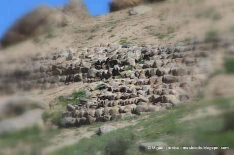 Tibios albores Tibios albores