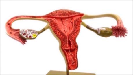 Quedar embarazada de forma natural con una trompa de Falopio: ¡No es imposible!