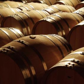 “El negocio siempre debería evolucionar hacia un enfoque de calidad y no cantidad. Debemos de buscar un valor añadido en las elaboraciones” – Enólogo Bodega Hacienda El ternero ternero_bodega_slide_2