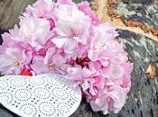 mejor Feng Shui Atracción?