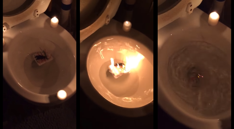 ¡La INDIGNANTE despedida a una mascota que ha revolucionado la RED! p